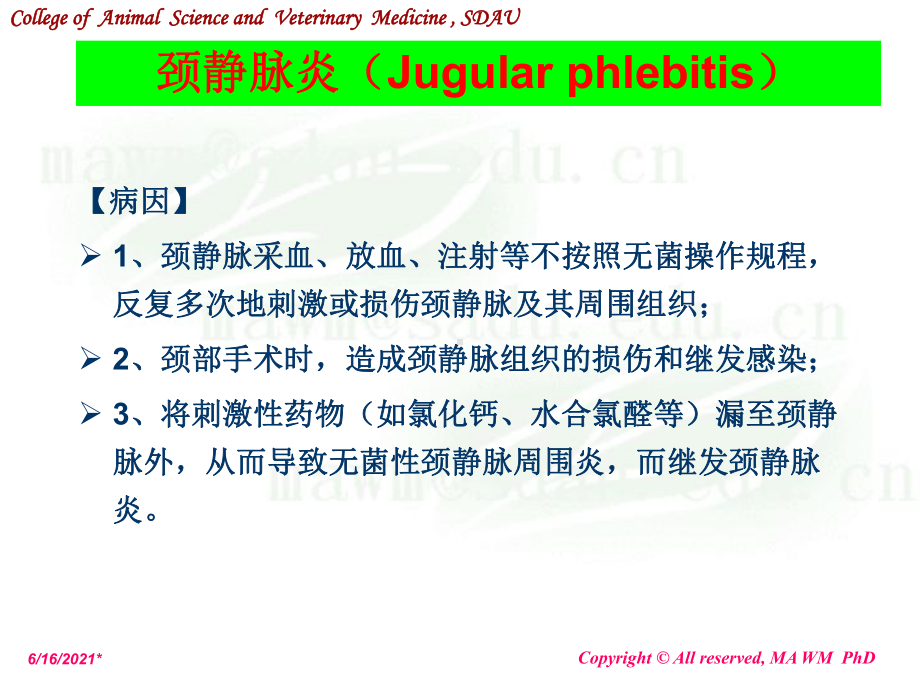 七讲颈部疾病课件.ppt_第2页