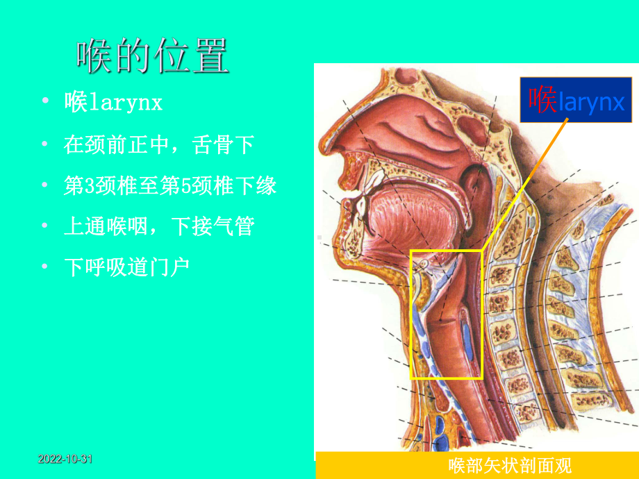 五官科护理第六章喉部常见疾病病人护理课件.ppt_第3页