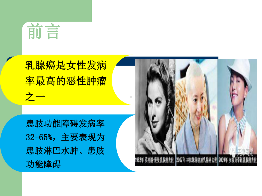 乳腺癌患者的护理查房课件.ppt_第3页