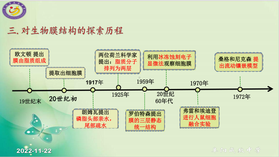 人教版《生物膜的流动镶嵌模型-》课件.pptx_第3页