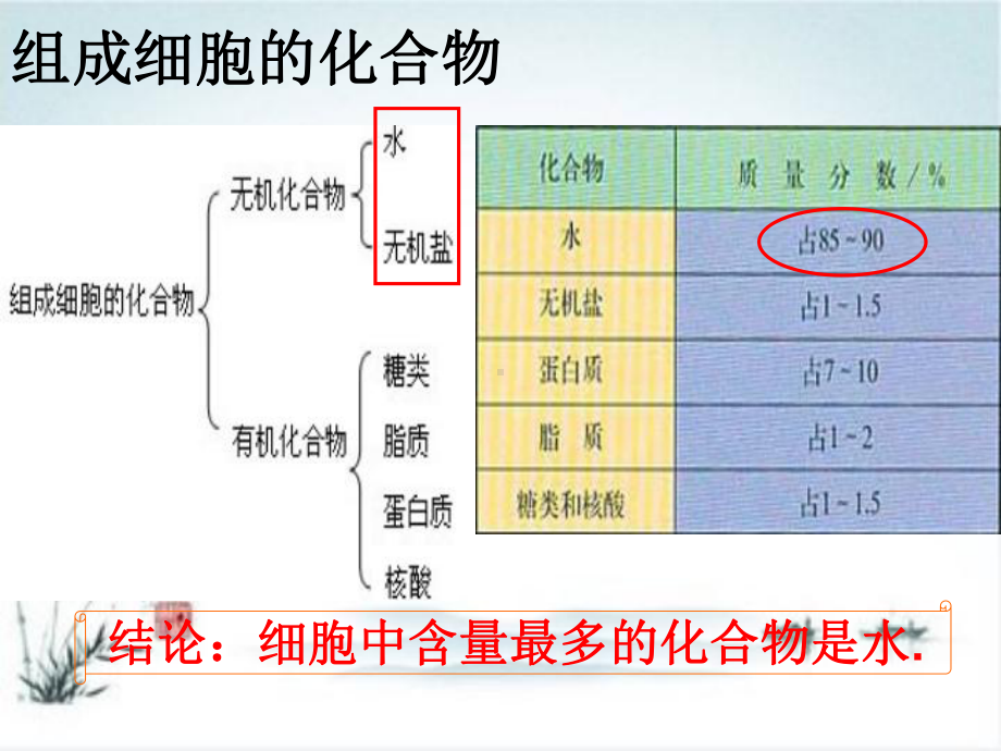 人教版高中生物《细胞中的无机物》公开课课件1.ppt_第2页