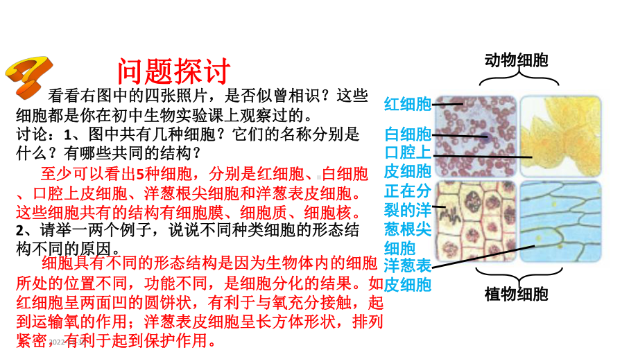 人教版新教材《细胞的多样性和统一性》课件1.pptx_第2页