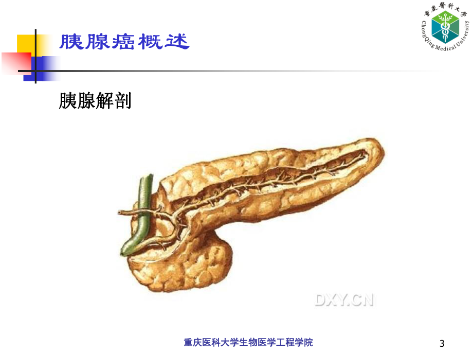 临床超声治疗学课件.ppt_第3页