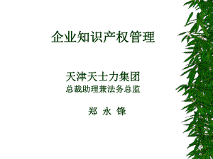 企业知识产权管理讲义(-36张)课件.ppt