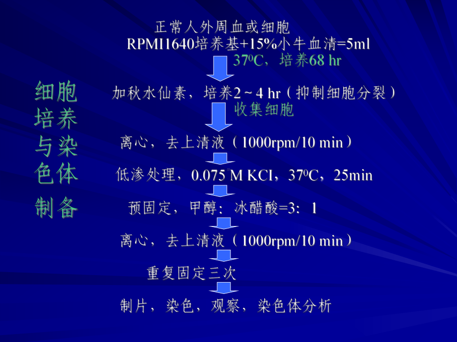 人类染色体和染色体病OK课件.ppt_第3页