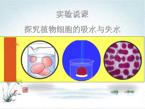 人教版生物必修一《探究植物细胞的吸水与失水》说课课件.ppt