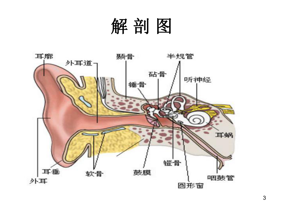 中耳炎的治疗及护理课件.ppt_第3页