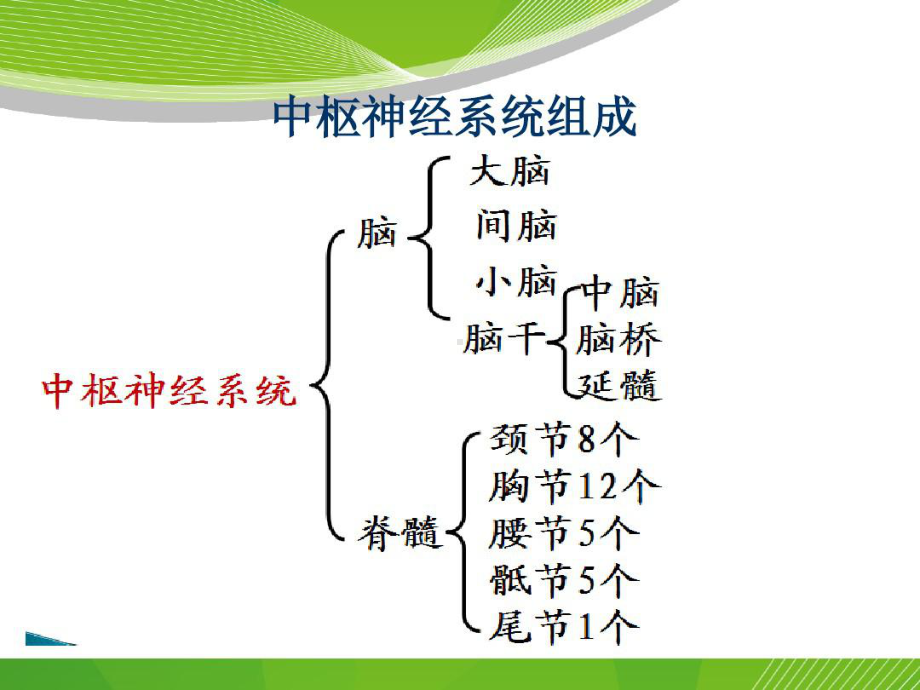 中枢神经系统感染性疾病病人护理共105张课件.ppt_第3页