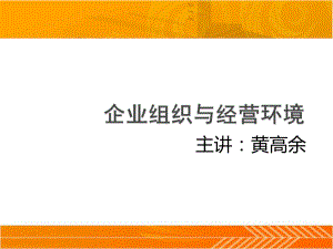 企业组织与经营环境第3章企业组织类型课件.ppt