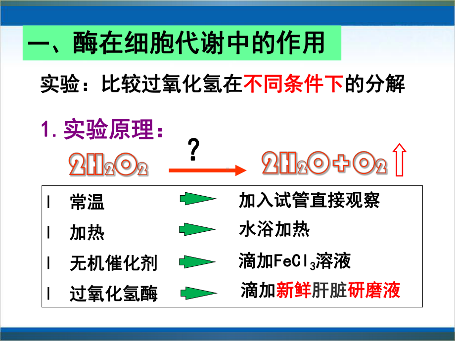 人教版生物必修一《降低化学反应活化能的酶》课件.ppt_第3页