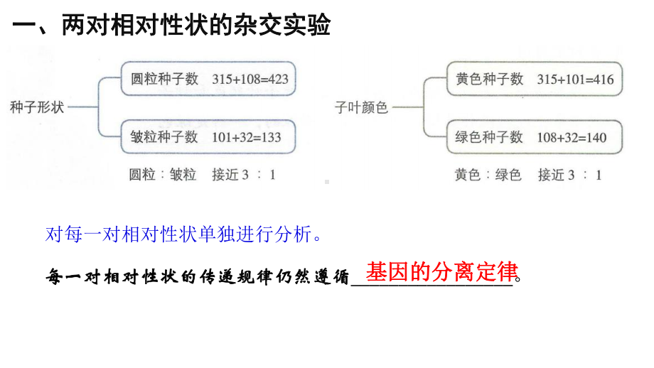 人教版高中生物必修2第一章第二节孟德尔豌豆杂交实验课件.pptx_第3页