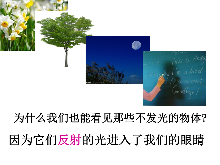 人教版《光的反射》完美课件2.ppt_第3页