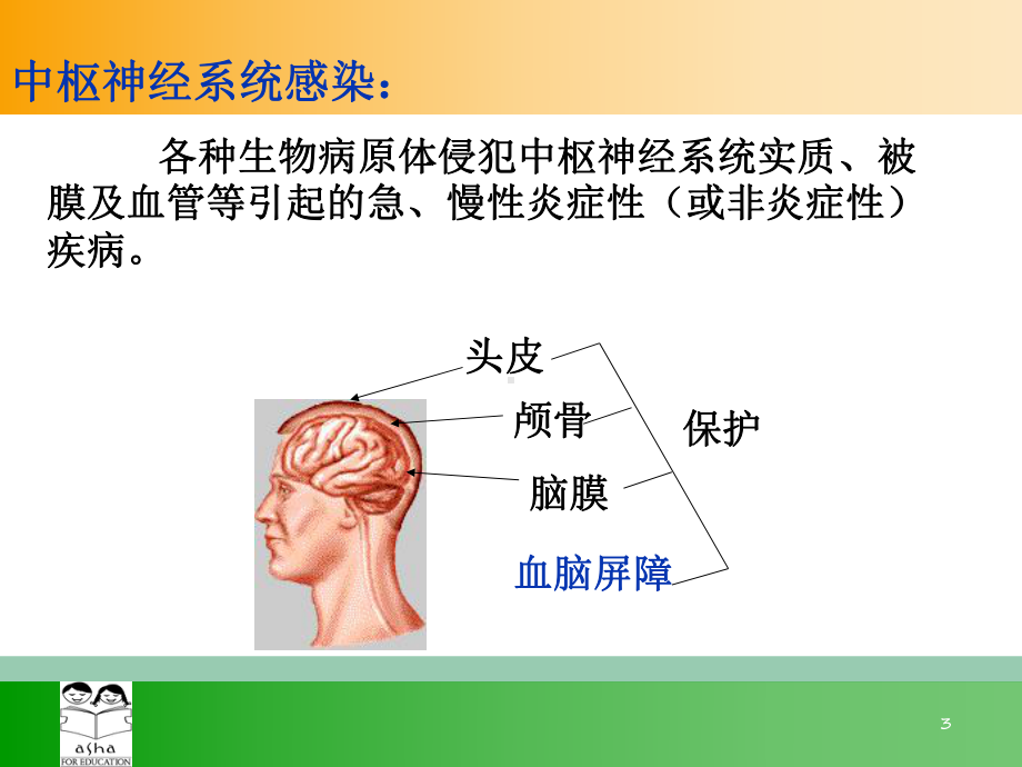 中枢神经系统感染课件-课件.ppt_第3页