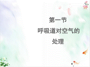 人教版《呼吸道对空气的处理》经典课件.ppt