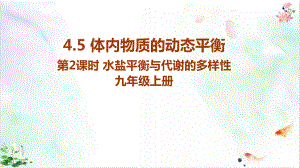 体内物质的动态平衡-1课件.ppt