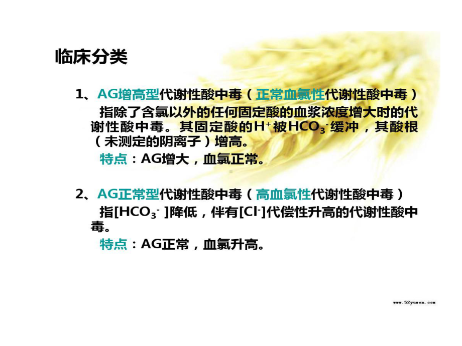 代谢性酸中毒共47张课件.ppt_第3页