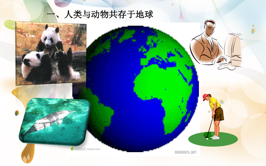 保护动物课件.ppt_第3页