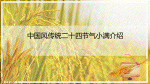 中国风传统二十四节气小满介绍模板课件.pptx