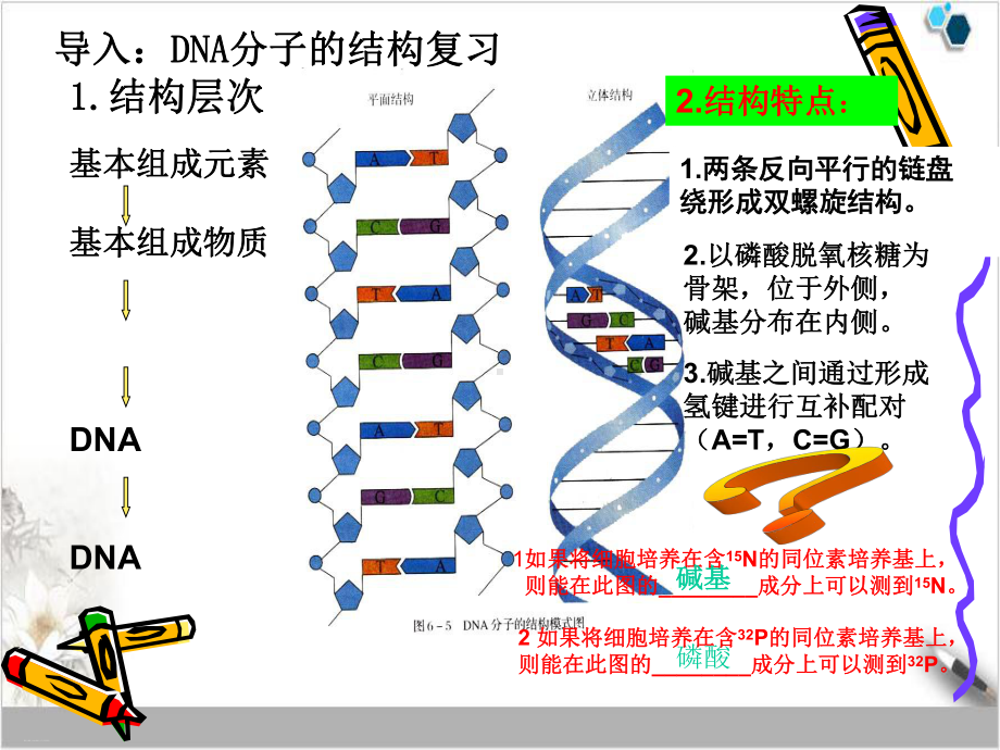 人教版《DNA的复制》公开课课件1.ppt_第1页