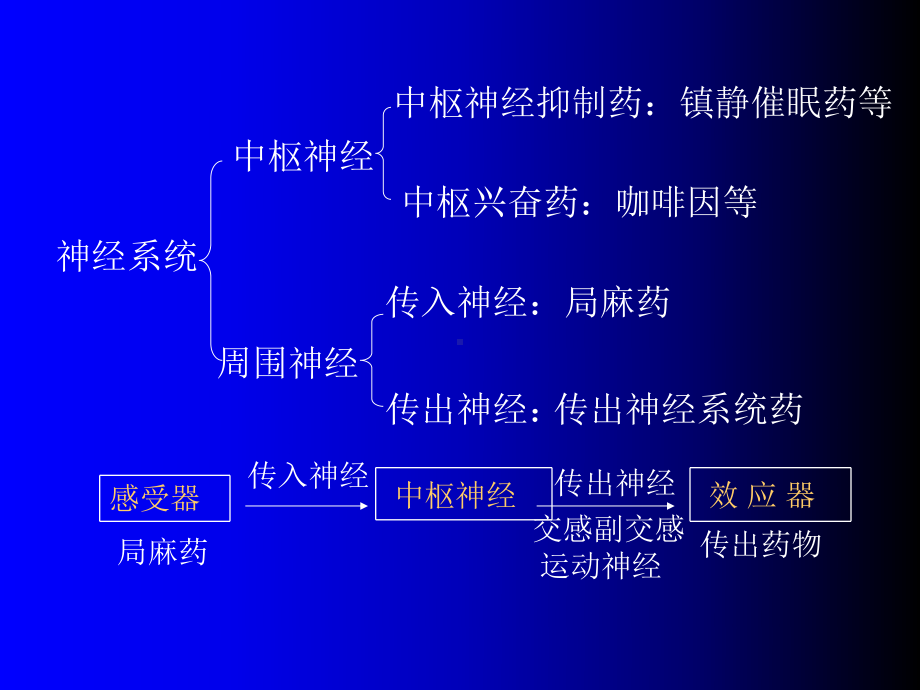 二章作用于传出神经系统的药物课件.ppt_第2页