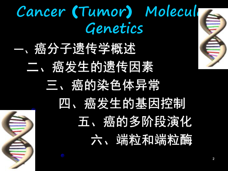 《癌肿瘤遗传学》课件204页.ppt_第2页