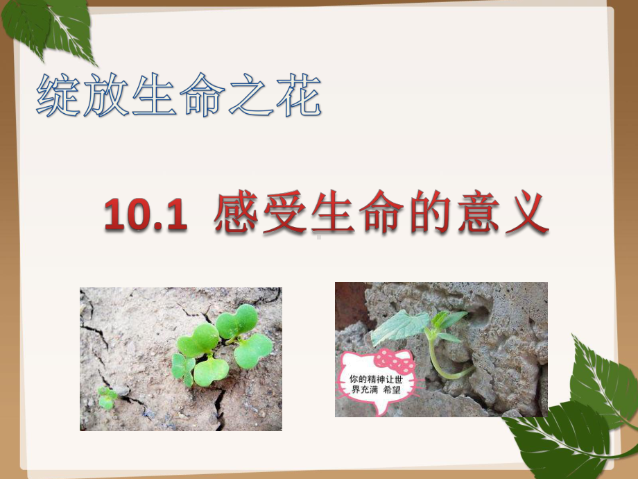 人教部编版课件《感受生命的意义》精美课件2.pptx_第2页