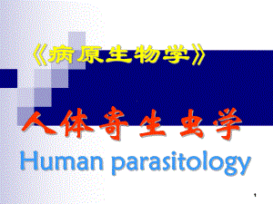 《病原生物学》人体寄生虫学课件.ppt