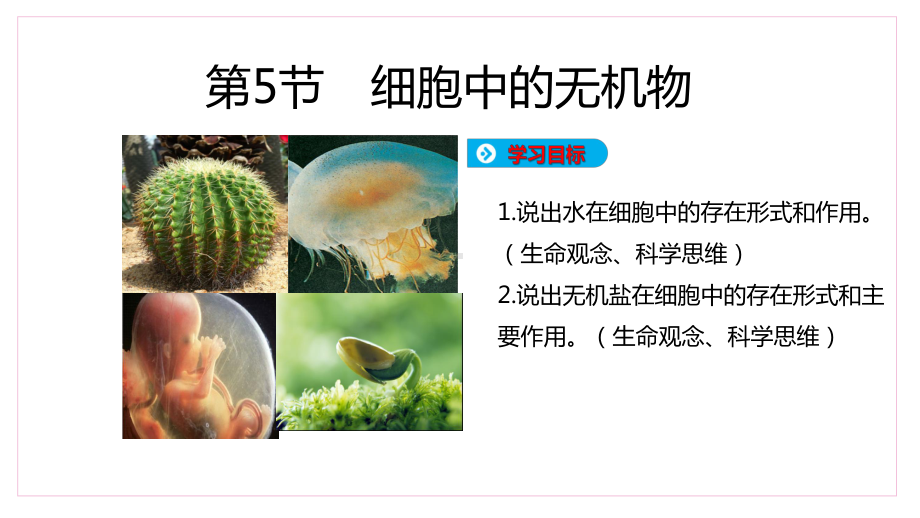 人教版高中生物必修一课件：细胞中的无机盐.pptx_第2页