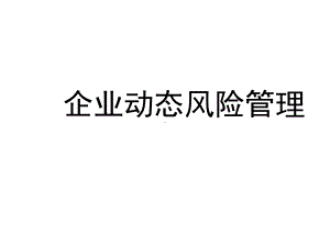 企业动态风险管理课件.ppt