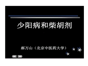 伤寒论少阳病和小柴胡汤证21张课件.ppt