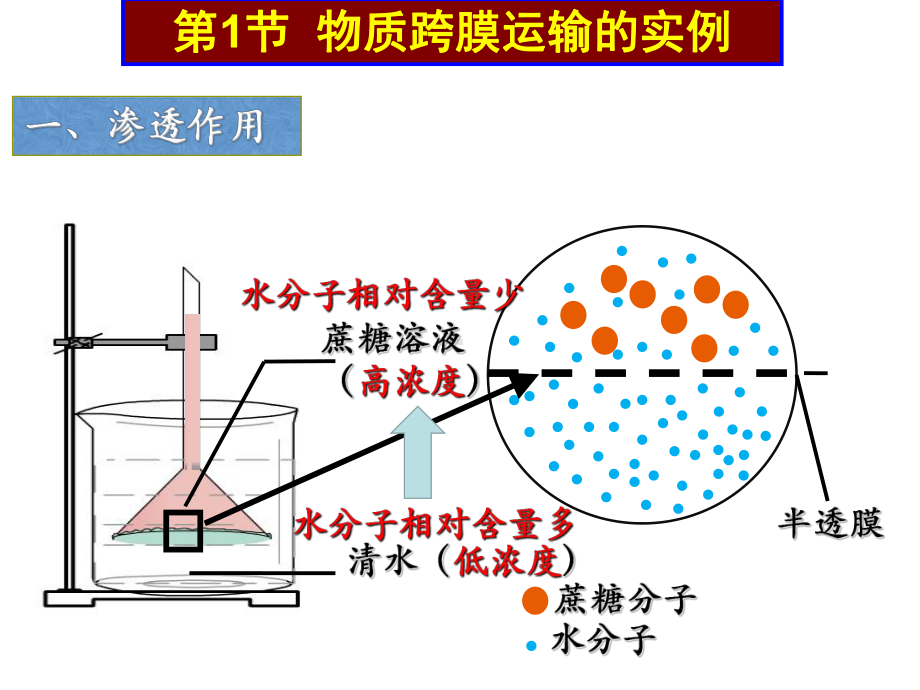 人教版高中生物必修1-第4章-细胞的物质输入与输出-复习课件-(共37张).ppt_第2页