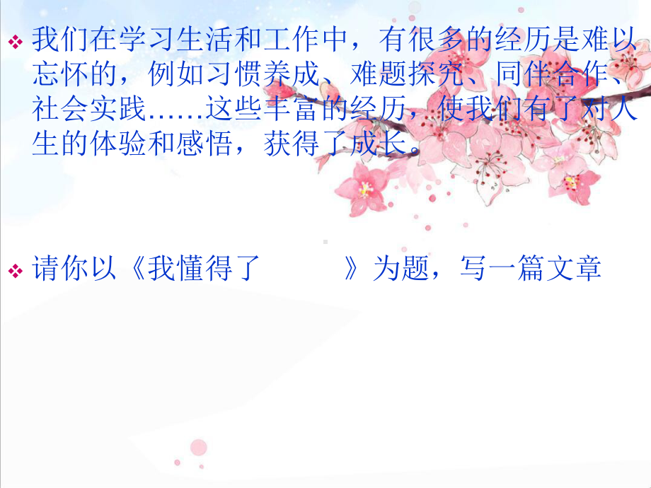 作文：我懂得了……课件.ppt_第2页