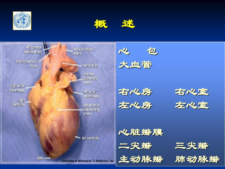 体外循环及先天性心脏病护理共106张课件.ppt_第2页