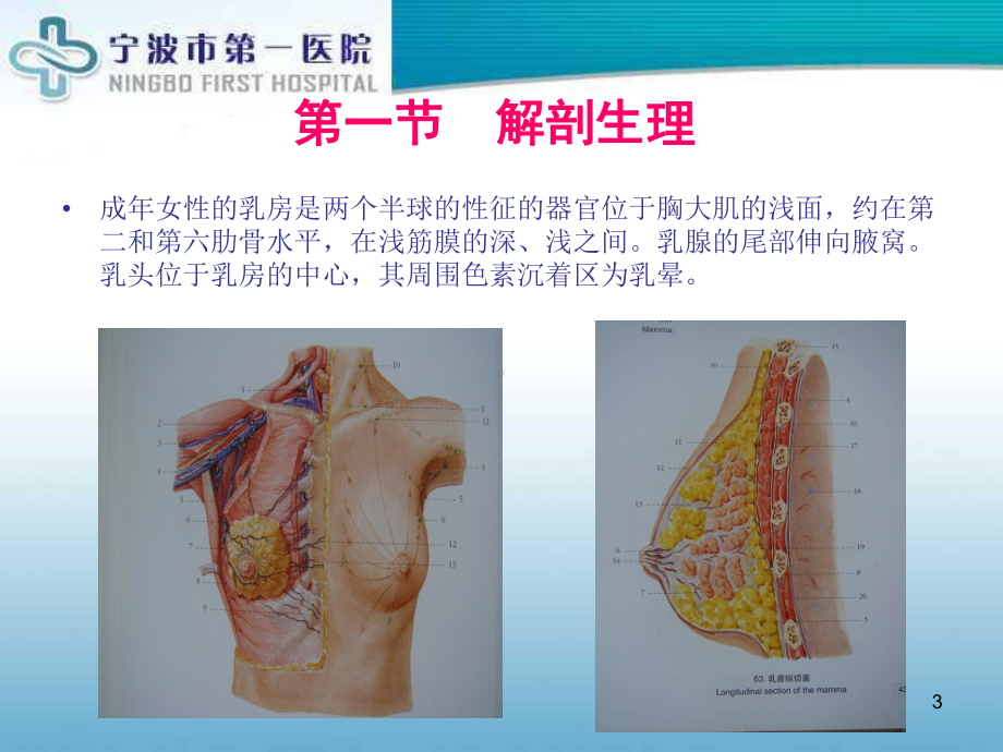 乳房疾病诊疗及护理课件.ppt_第3页