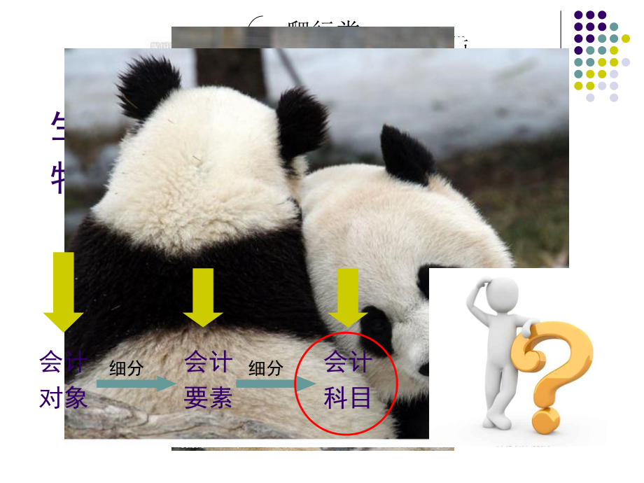 会计科目与账户课件.ppt_第2页