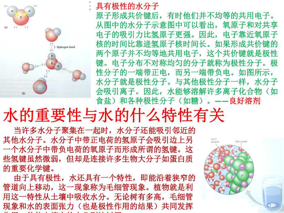 人教版《细胞中的无机物》课件1.pptx_第2页