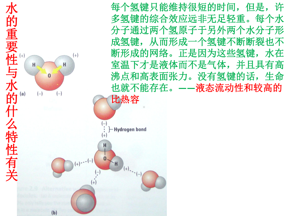 人教版《细胞中的无机物》课件1.pptx_第3页