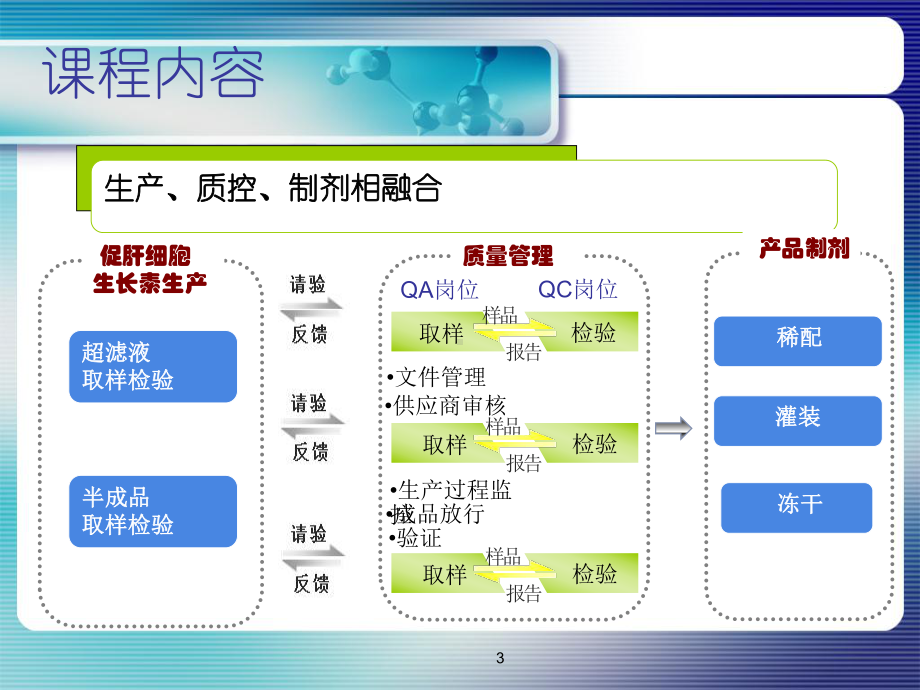 促肝细胞生长素实训课件.ppt_第3页