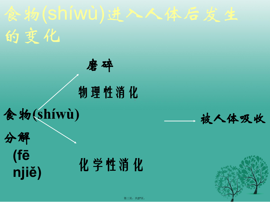 中考生物人体的消化系统复习课件.ppt_第3页