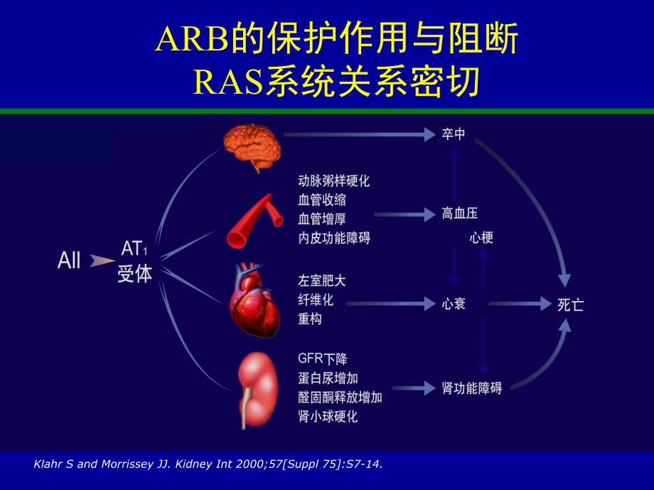 ARB治疗糖尿病肾病的循证医学证据课件.ppt_第3页