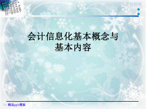 会计信息化基本概念与基本内容课件.ppt