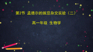 人教版高中生物必修孟德尔的豌豆杂交实验二课件.pptx