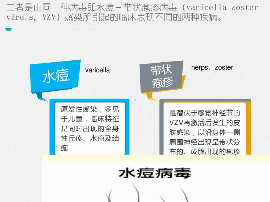 传染病学第八版配套课件水痘和带状疱疹共32页.ppt_第2页