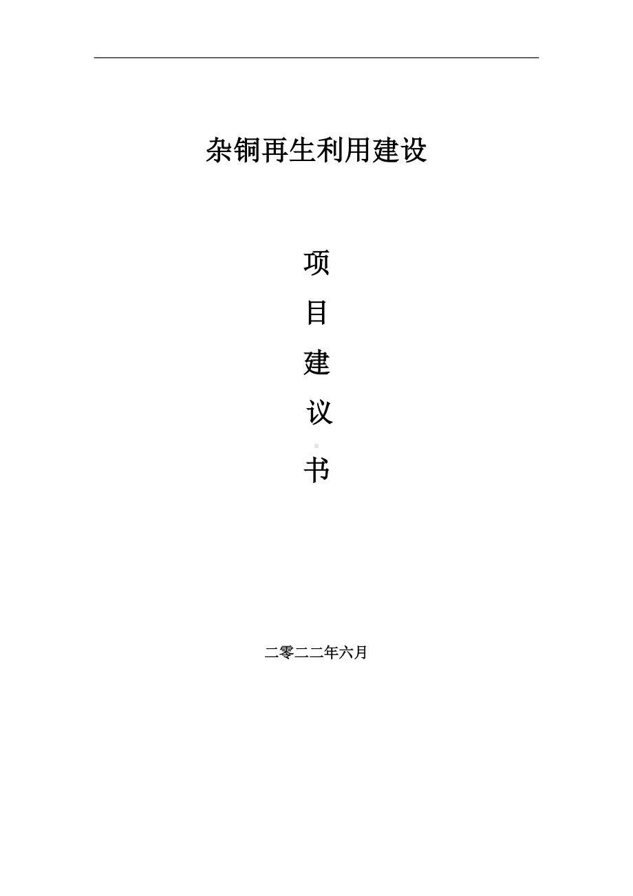 杂铜再生利用项目建议书（写作模板）.doc_第1页