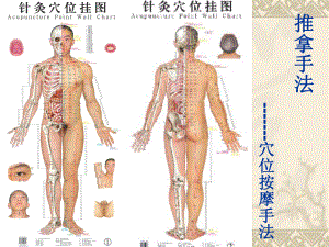 体育保健按摩疗法解析课件.ppt