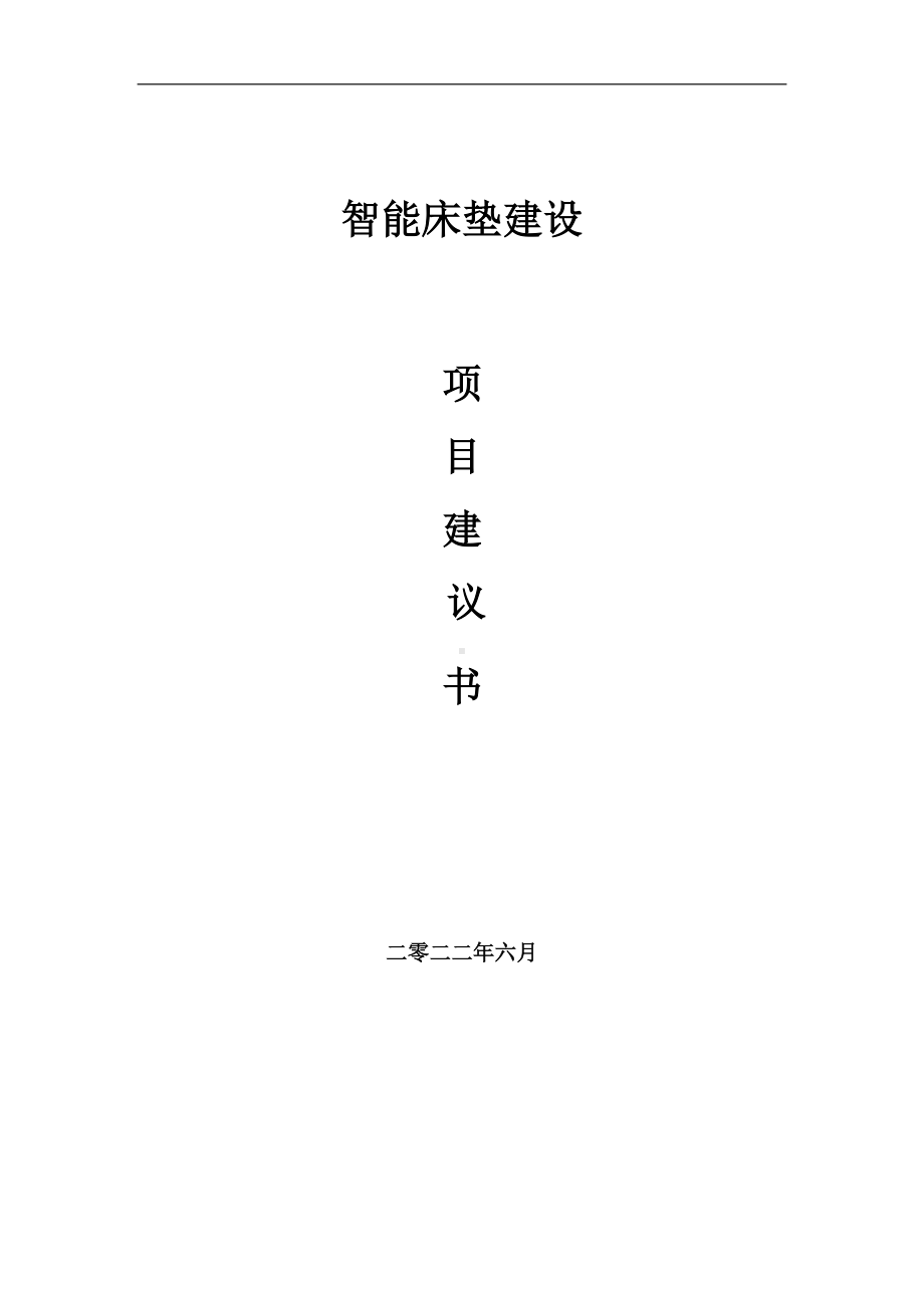 智能床垫项目建议书（写作模板）.doc_第1页