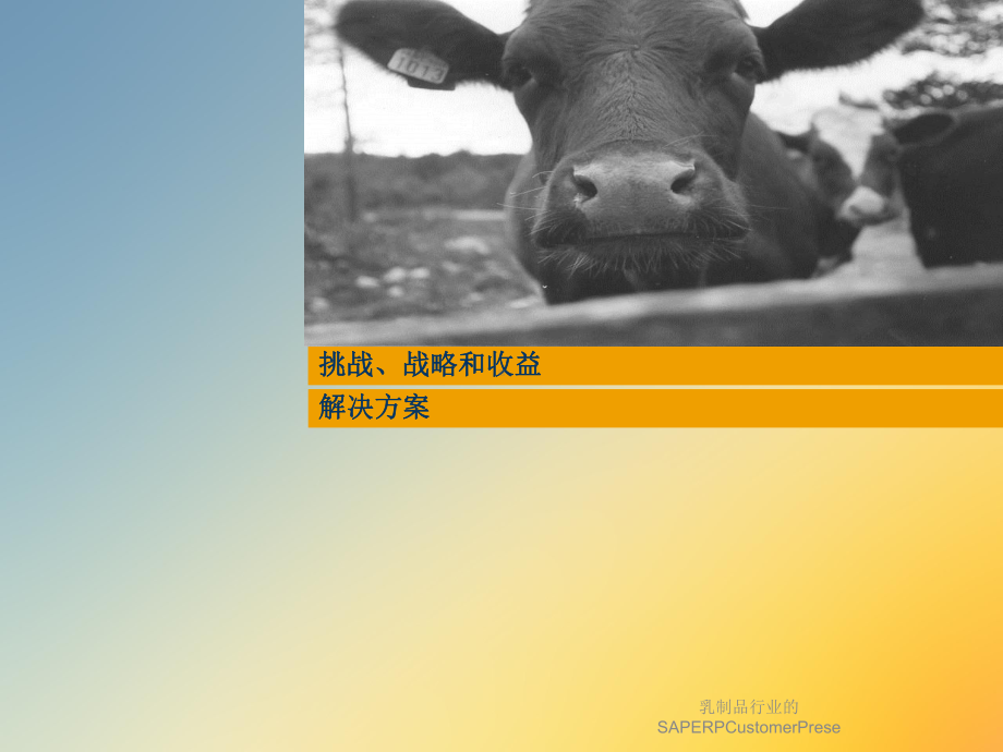 乳制品行业的SAPERPCustomerPrese课件.ppt_第2页