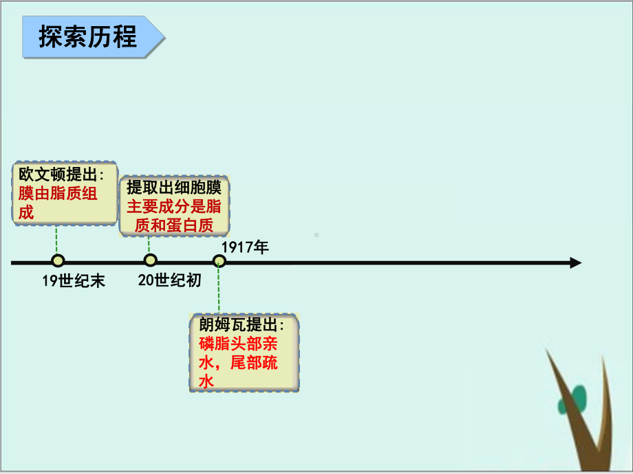 人教版必修一生物第三章-第一节-细胞的结构和功能细胞膜结构的探索24课件.pptx_第2页