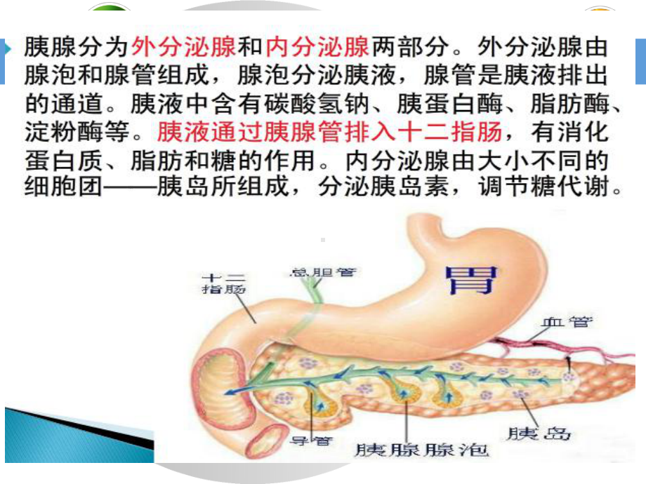 一例急性胰腺炎的病例分析课件.ppt_第2页