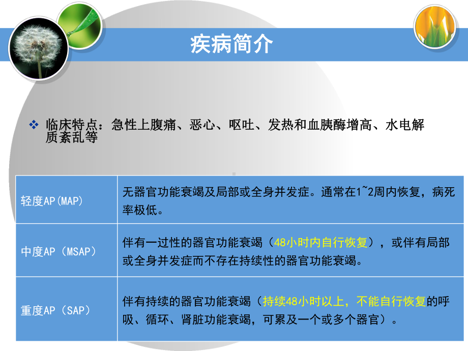 一例急性胰腺炎的病例分析课件.ppt_第3页